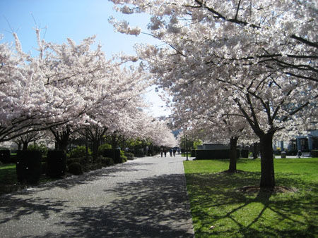 Học viện quốc tế Salem, Oregon - Mỹ